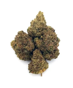 Donny Burger Premium Cannabis Kaufen