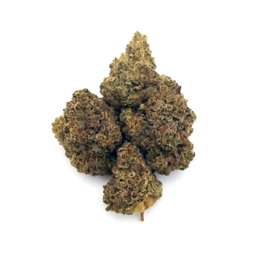 Donny Burger Premium Cannabis Kaufen
