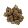 Gelato 41