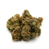 Gas Guzzler – Premium Hybrid Cannabis