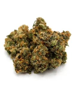Gas Guzzler – Premium Hybrid Cannabis