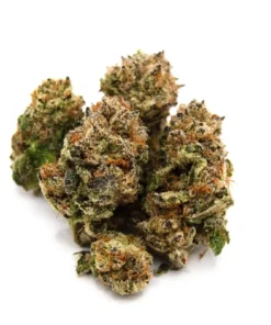Grape Pie Cannabis