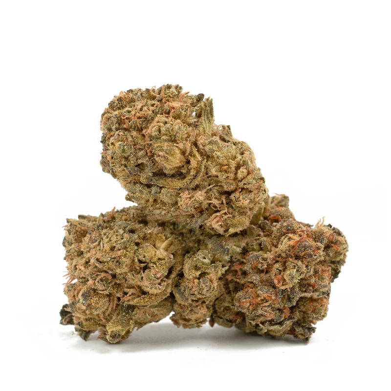 9lb Hammer Cannabis Kaufen
