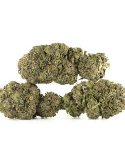 Ace Killer OG Cannabis Kaufen