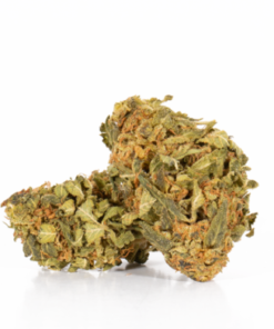 Afghan Kush