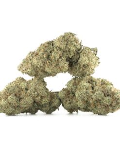 Blue Dream Cannabis Kaufen