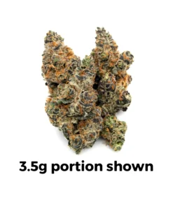 Blueberry Cupcake Premium Hybrid Cannabis Kaufen