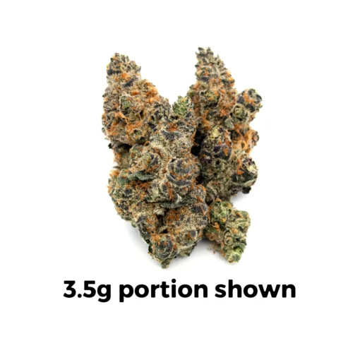 Blueberry Cupcake Premium Hybrid Cannabis Kaufen