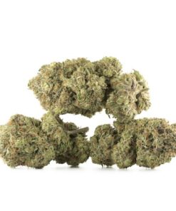 Bubba OG Premium Indica Cannabis Kaufen