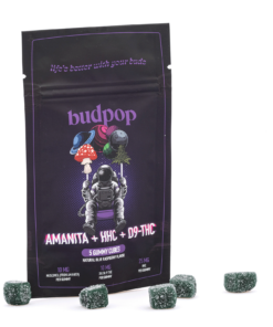 Budpop Amanita Muscaria – Psychedelisches Premium-Erlebnis