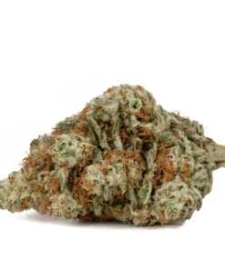 Dante’s Inferno Premium Hybrid-Cannabis Kaufen
