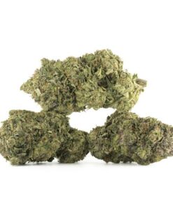 Death Bubba Cannabis Kaufen