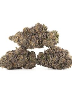 Gelato Cannabis Kaufen
