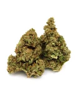 Godfather OG Cannabis
