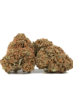 Gorilla Berry