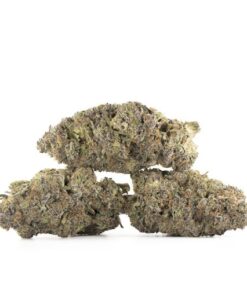 Gorilla Haze Cannabis Kaufen