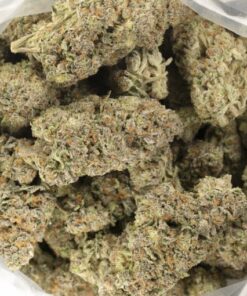 Gorilla Haze Cannabis Kaufen
