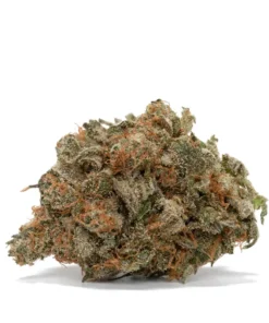 Jet Fuel
