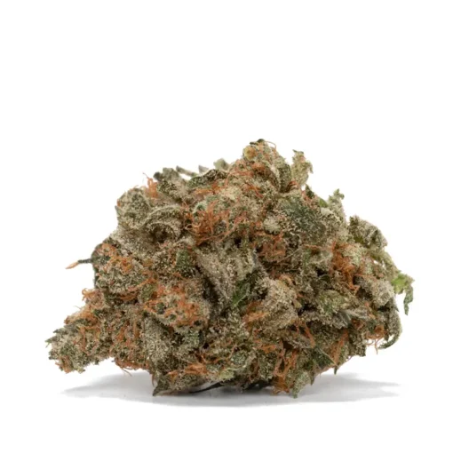 Jet Fuel