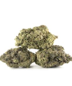 LA Kush Cake Premium Indica-Hybrid Cannabis Kaufen