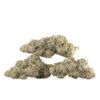 Mimosa Cannabis Kaufen