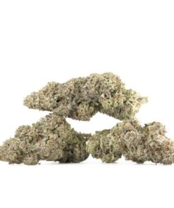 Mimosa Cannabis Kaufen