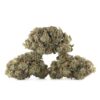Northern Lights Cannabis Kaufen