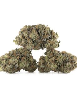 Northern Lights Cannabis Kaufen