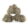 Oreoz Cannabis Kaufen