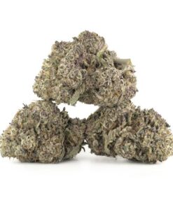 Oreoz Cannabis Kaufen
