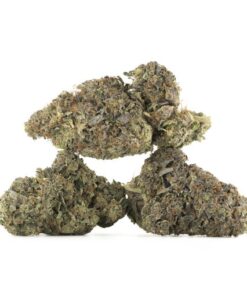Pink Gas Mask Cannabis Kaufen
