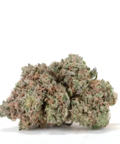 Cannabis Sativa