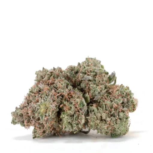 Cannabis Sativa