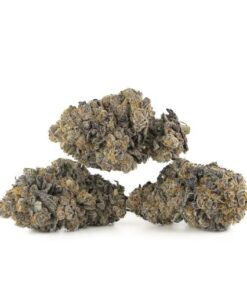 Platinum Cookies Cannabis