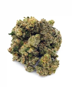 Purple Champagne Premium Sativa Cannabis Kaufen