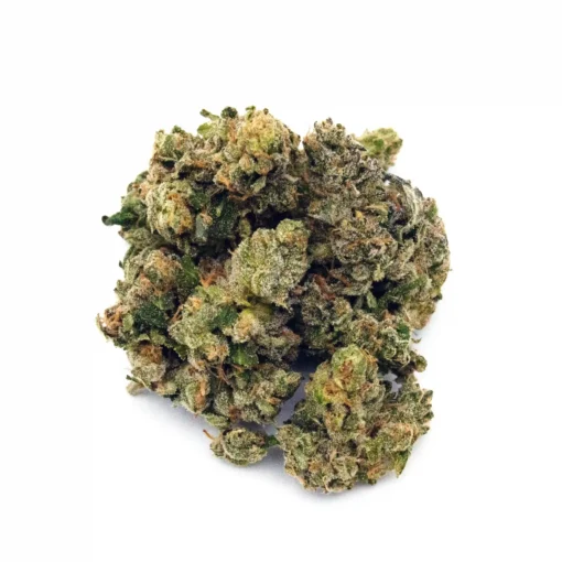 Purple Champagne Premium Sativa Cannabis Kaufen