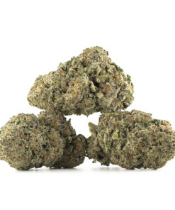 Space Queen Cannabis Kaufen