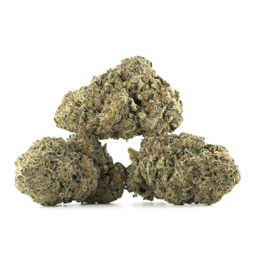 Space Queen Cannabis Kaufen