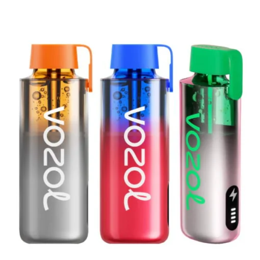 Vozol Vape 10000 Kaufen