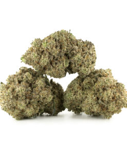White Runtz