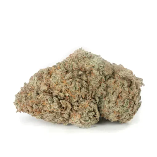 Frosted Gelato – Premium Hybrid Cannabis Kaufen