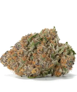 Moon Berry Cannabis-Sorte Kaufen