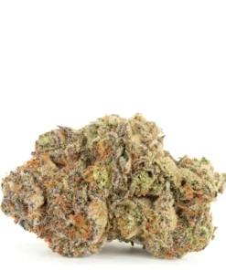 Tropic Thunder Cannabis Kaufen
